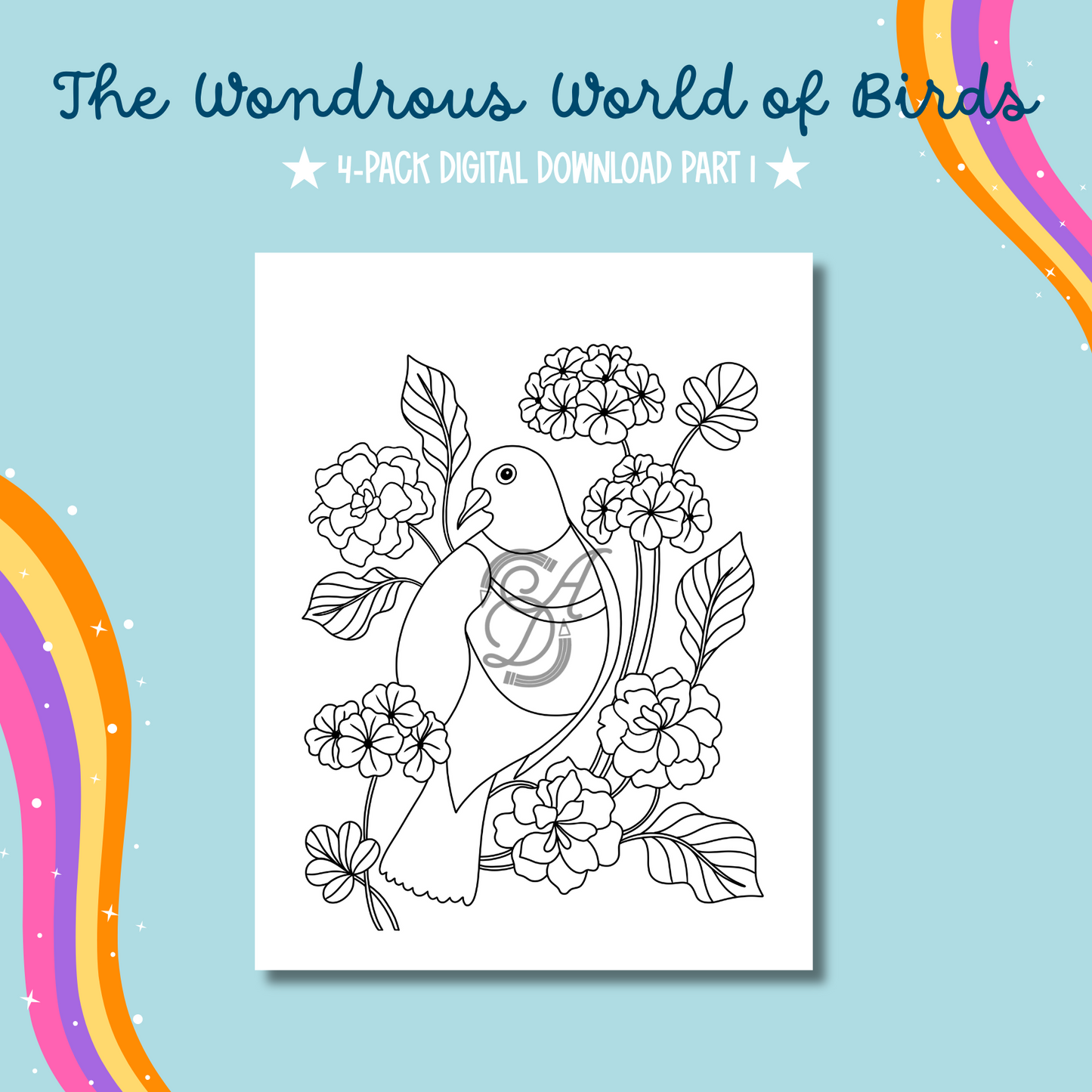 The Wondrous World of Birds Coloring Pages Part 1 Digital Download