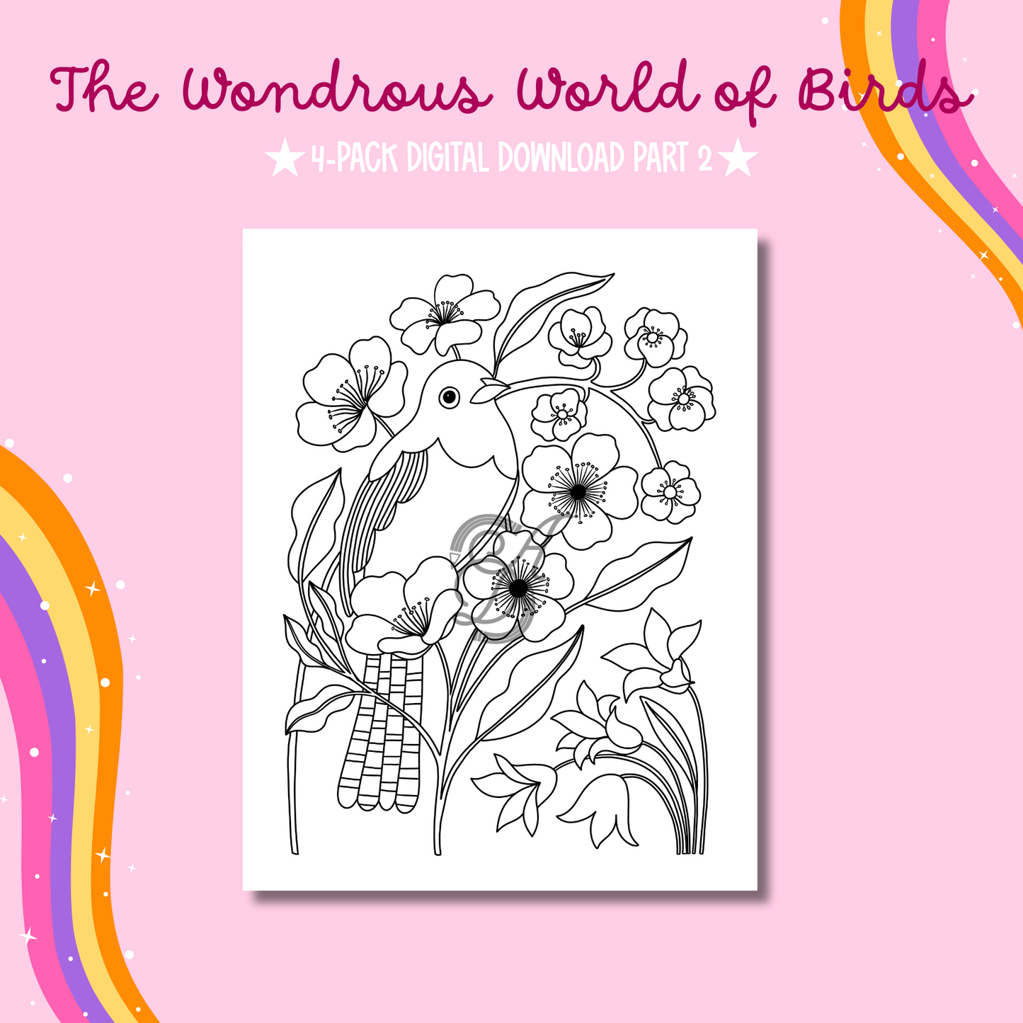 The Wondrous World of Birds Coloring Pages Part 2 Digital Download